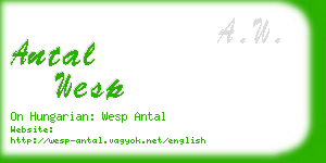 antal wesp business card